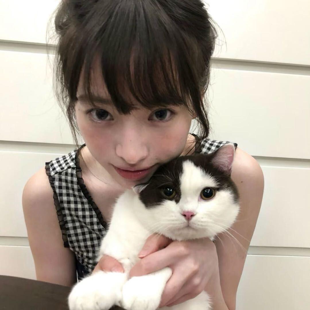 猫猫雨