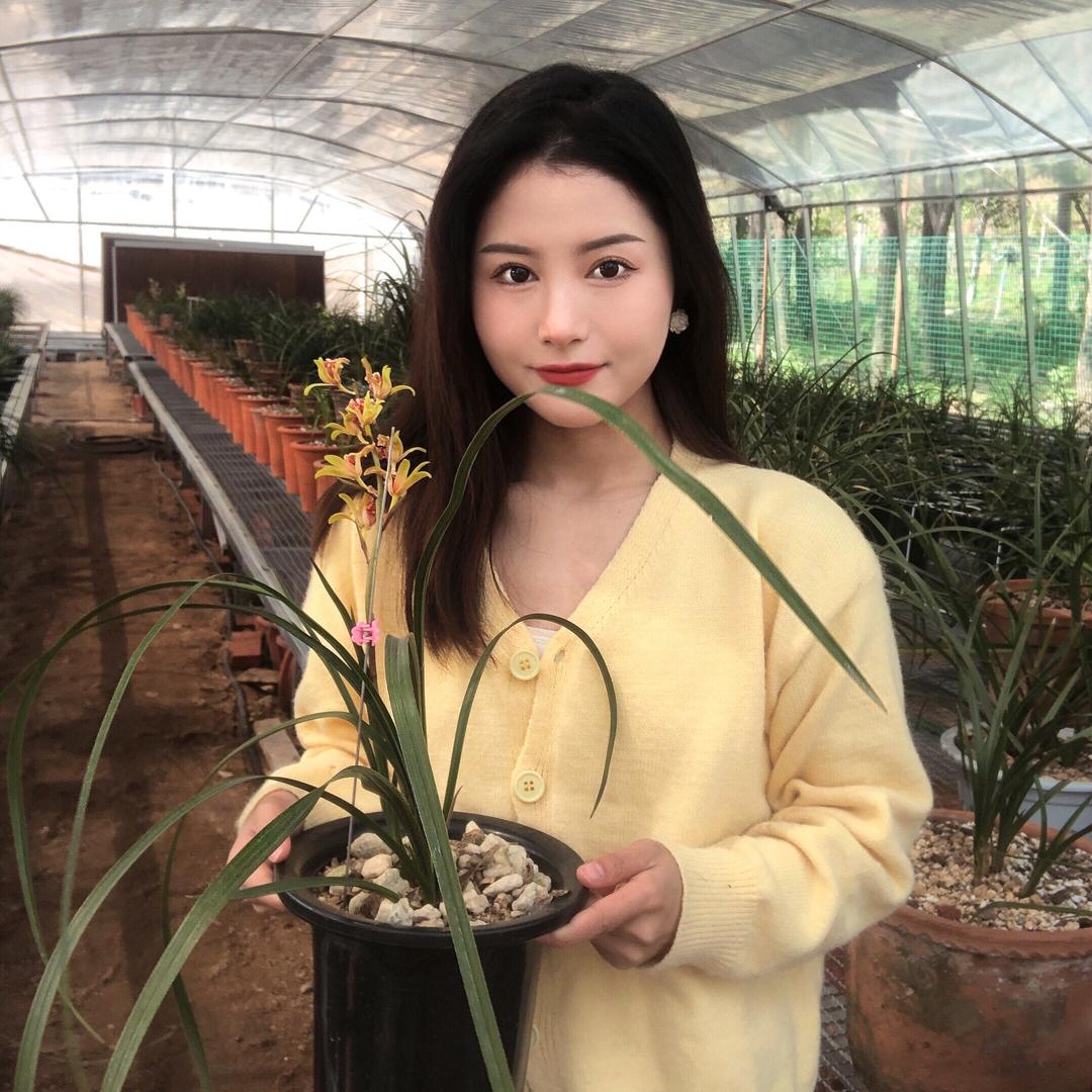 栾川建华兰苑（燕子）