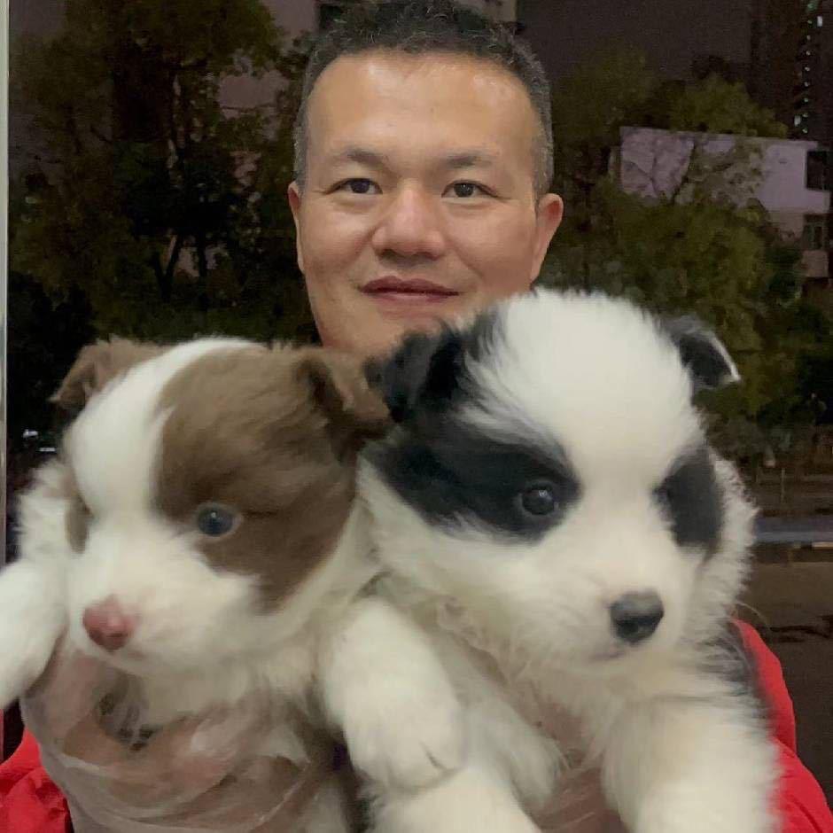 南昌云哥萌俏欢宠物基地