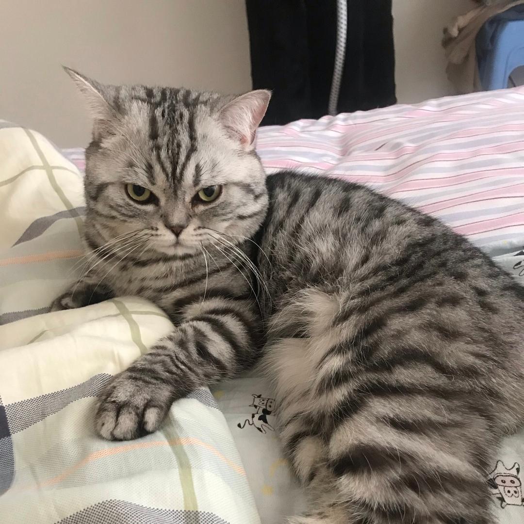 子萱