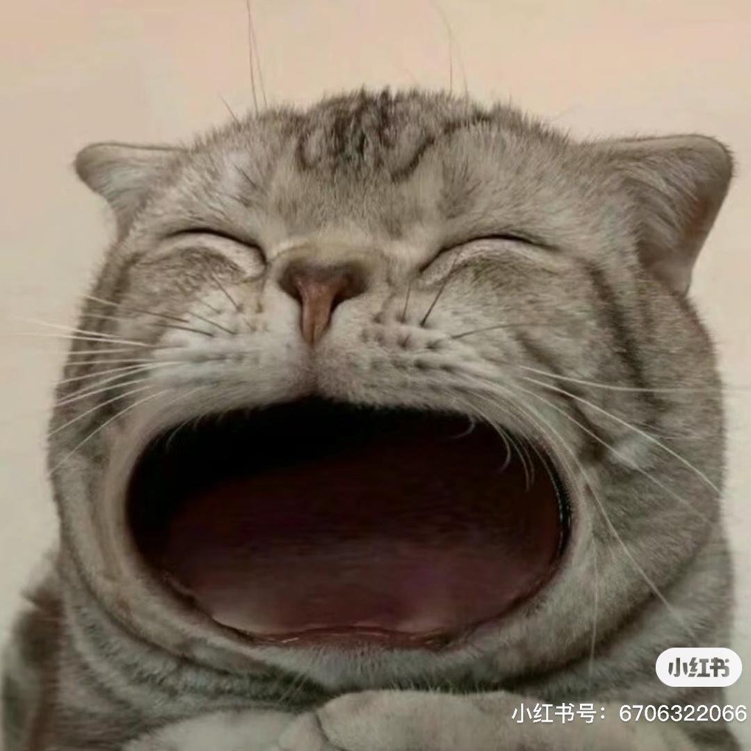 Gang蛋儿