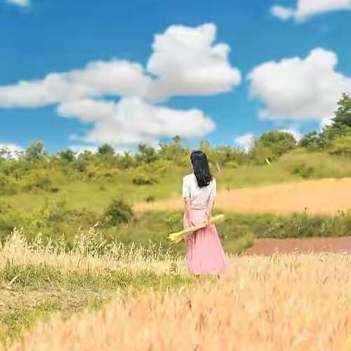 🌹珍珠🌹🌹