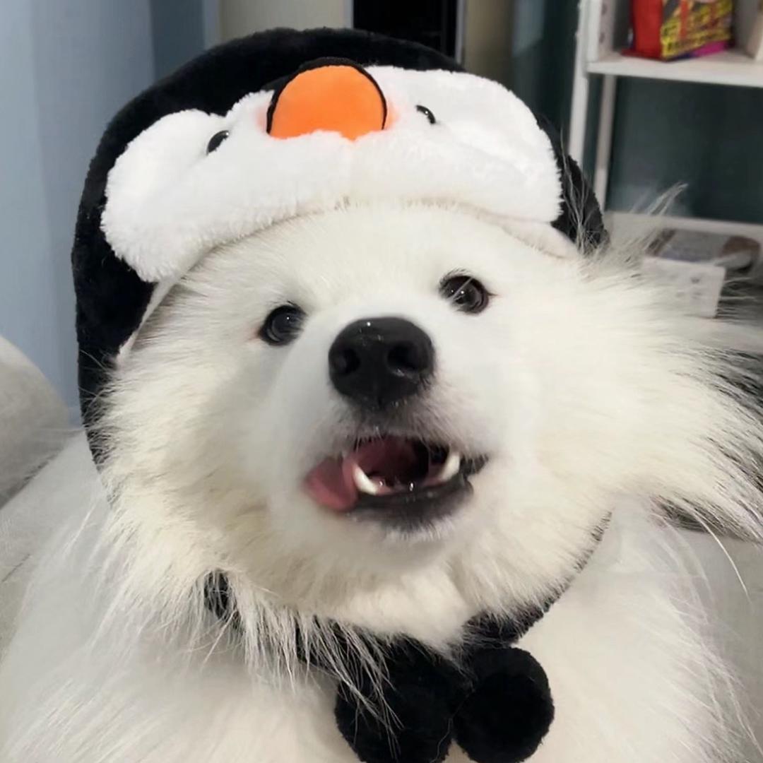 大丸没丸