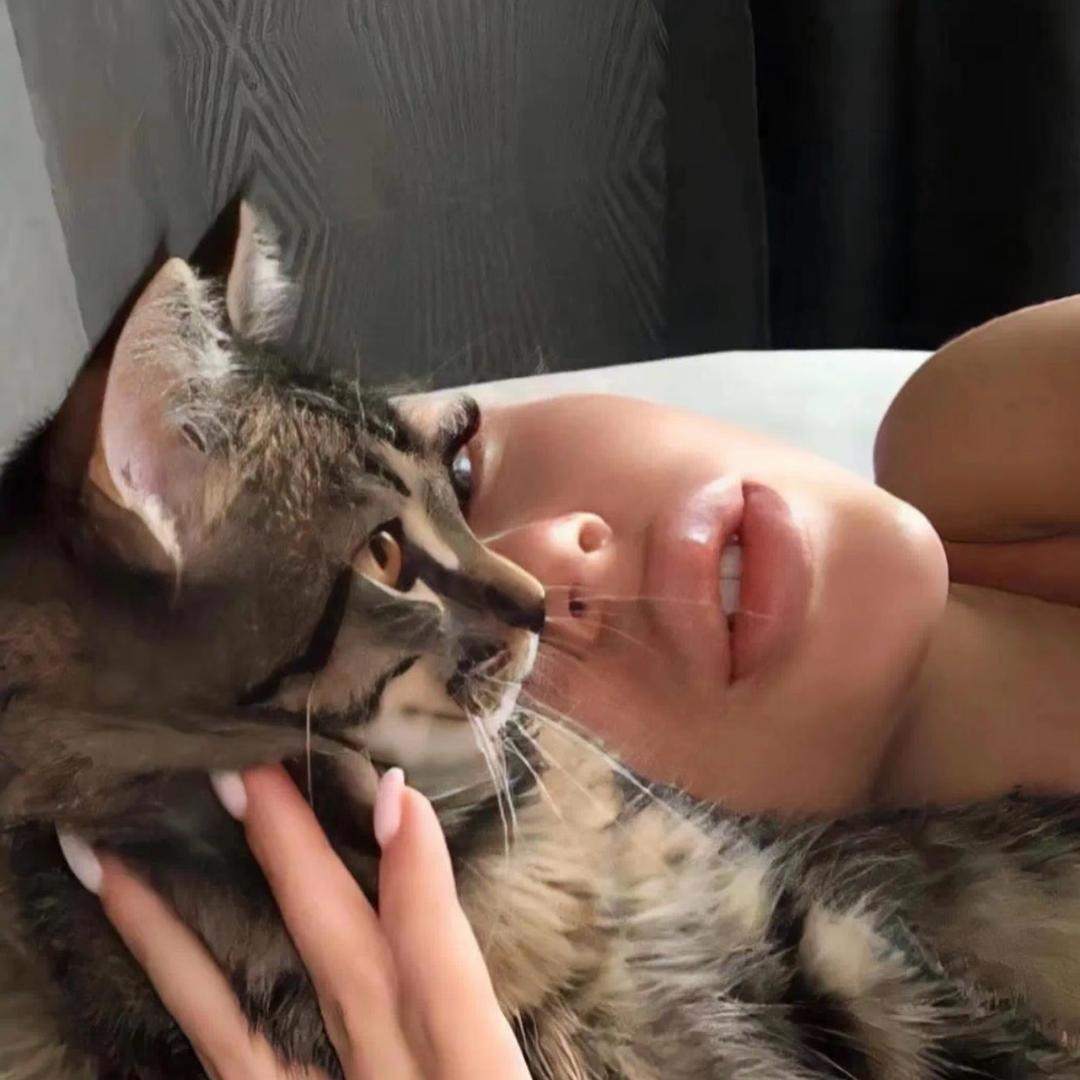 黄靴子的猫