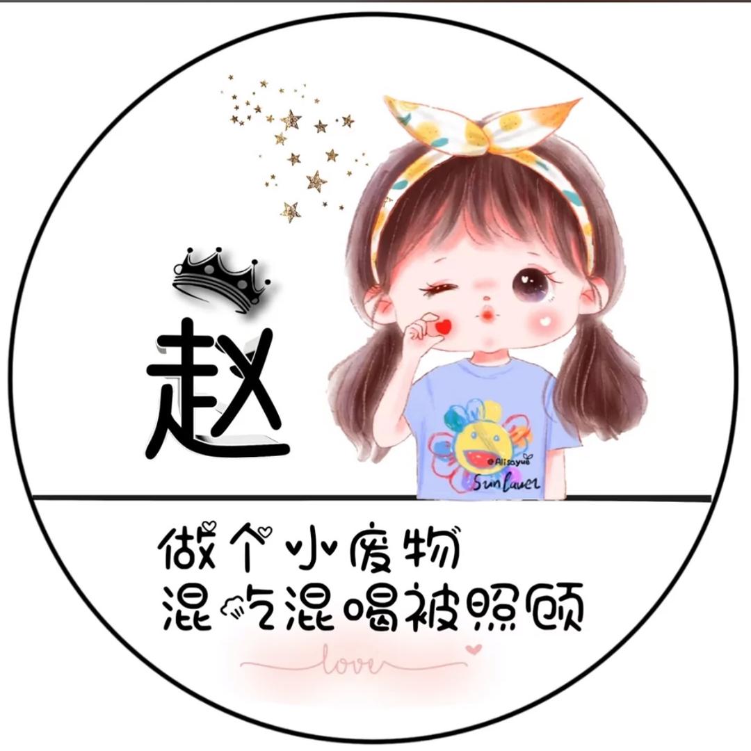 赵家牛肉丸子面