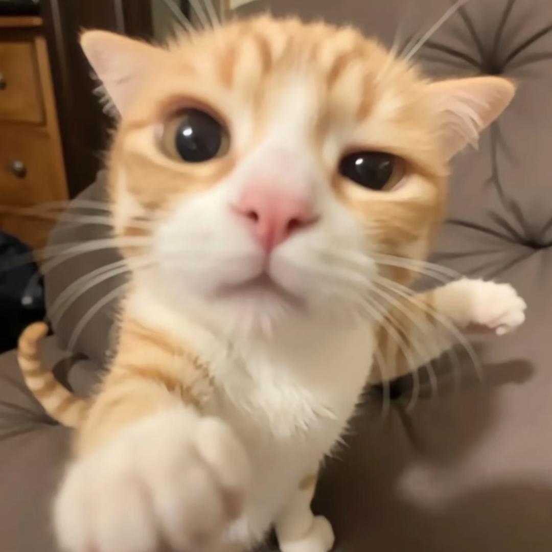 小咩-