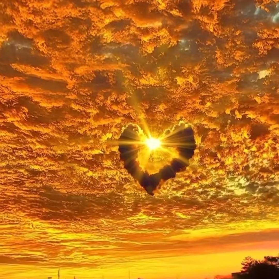 AA -  Estrus -（🔥）