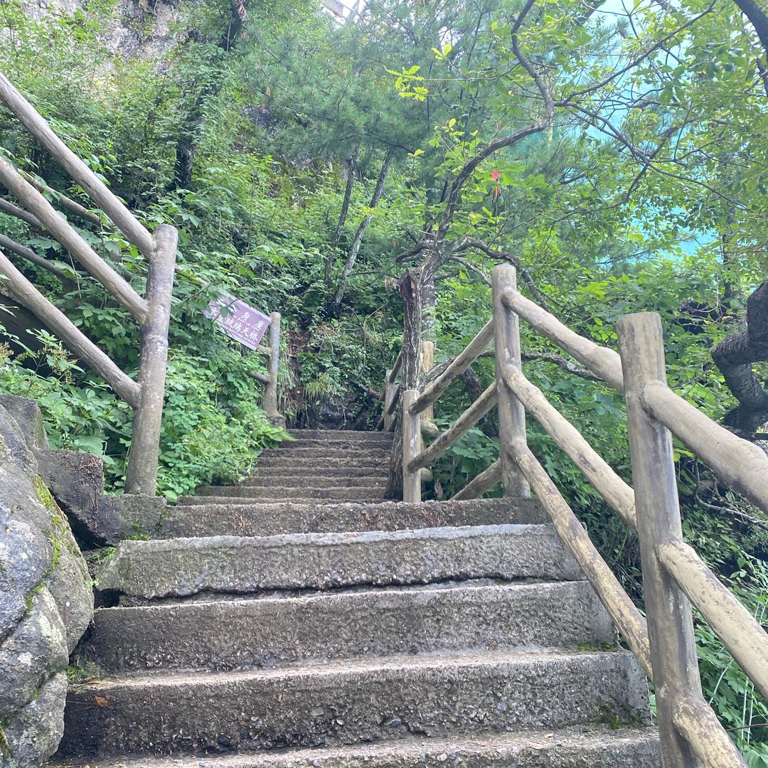 扶云凌志