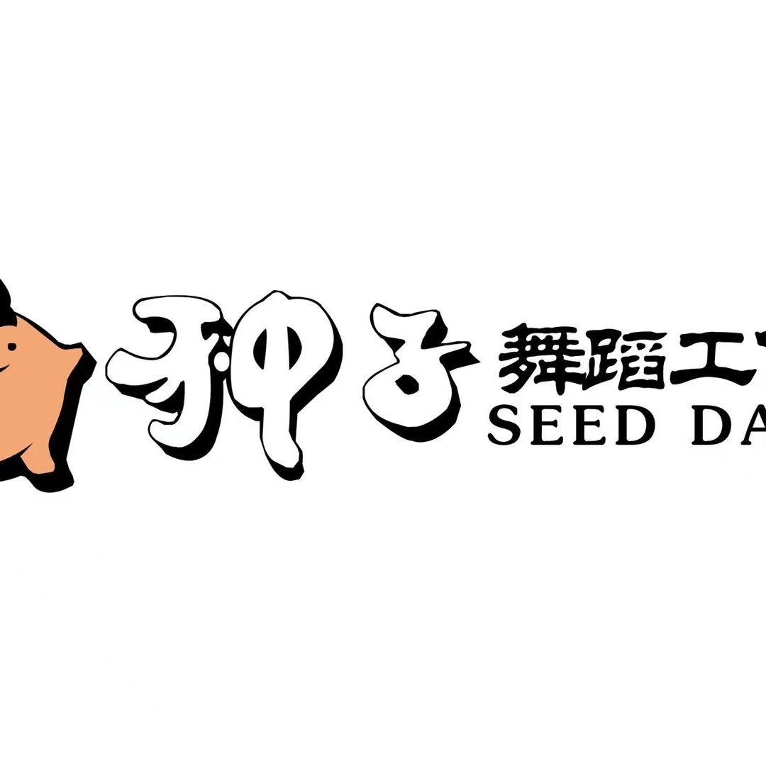 种子舞蹈工作室