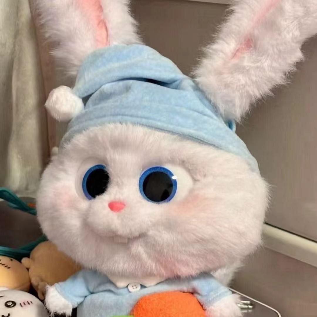 小兔日记🐰