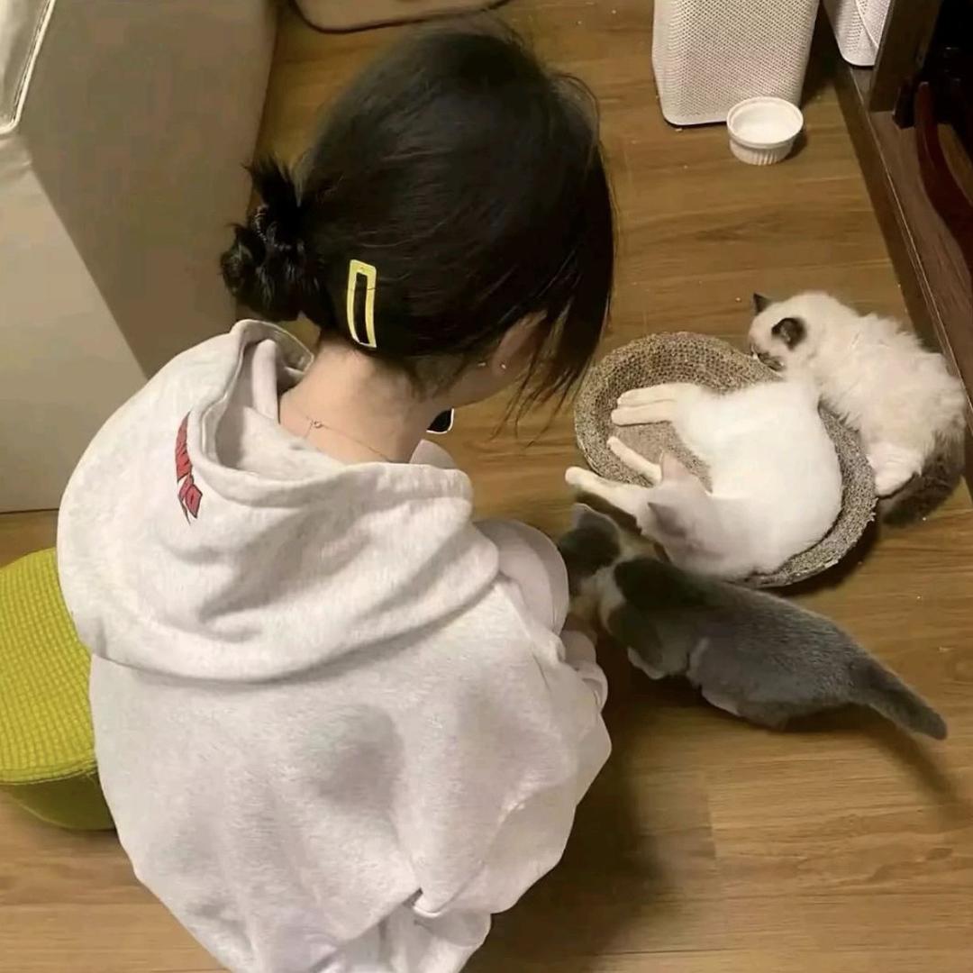 心也