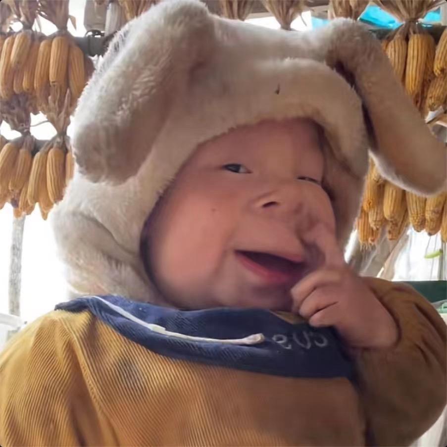 撬理蛙的