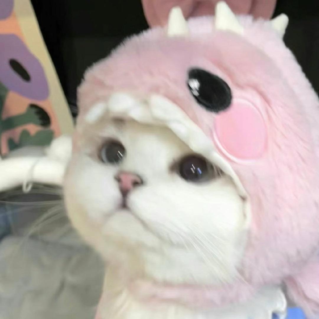 人间·水蜜桃🍑