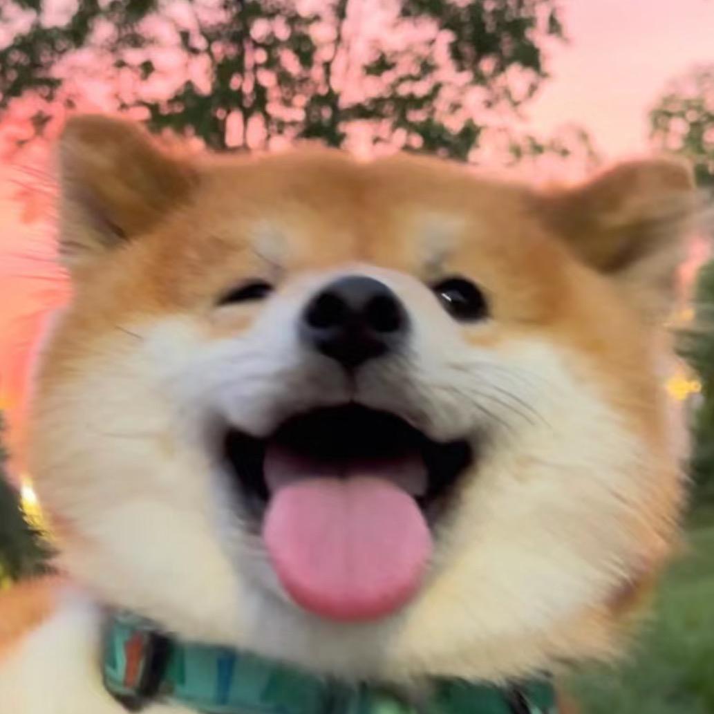 西瓜皮皮吃不吃🍉