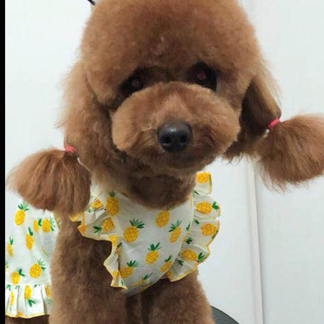 认识都是缘分