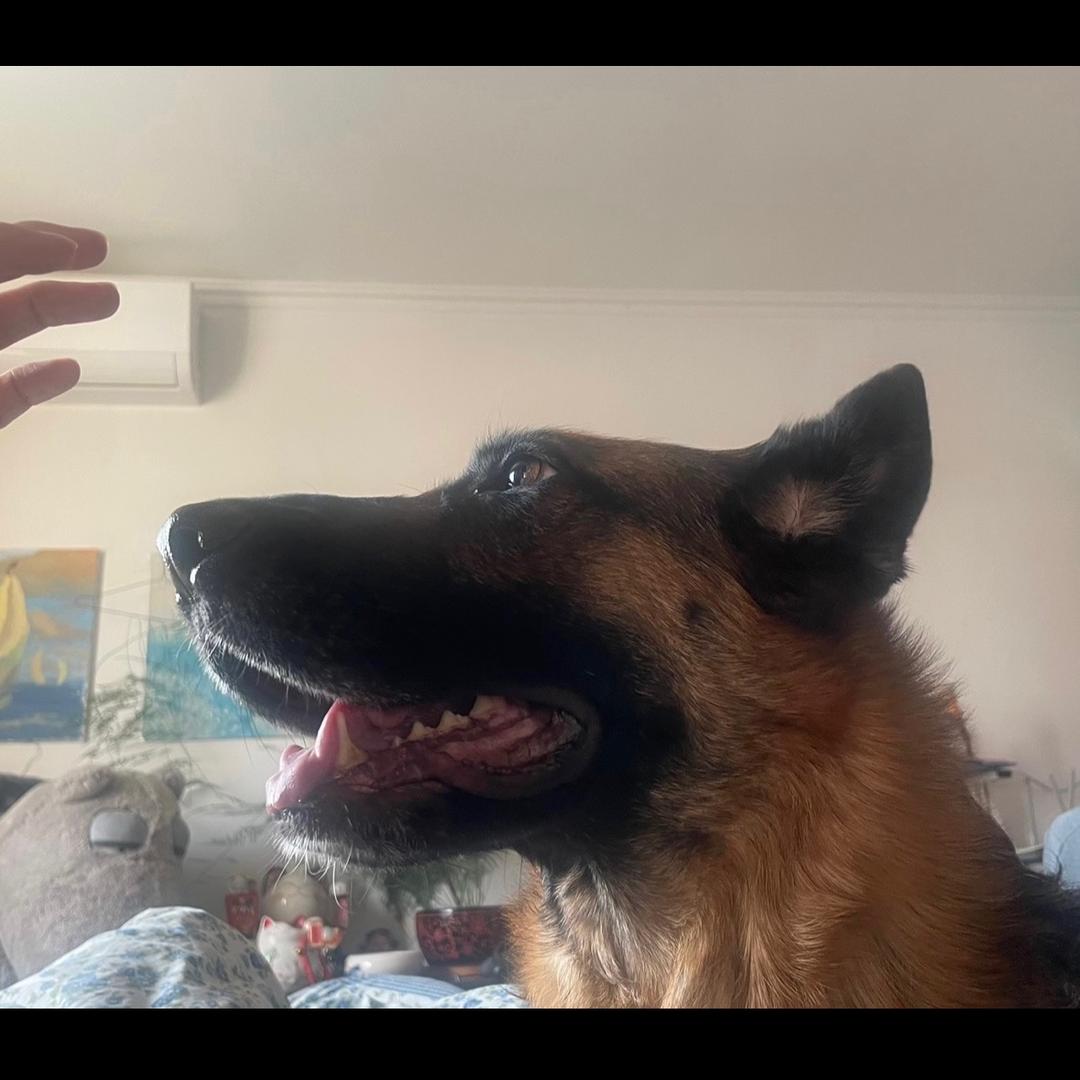 不出腹肌不改名