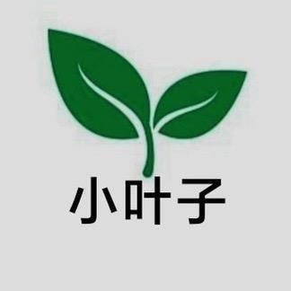 新疆小叶子农业科技有限公司（董事长）