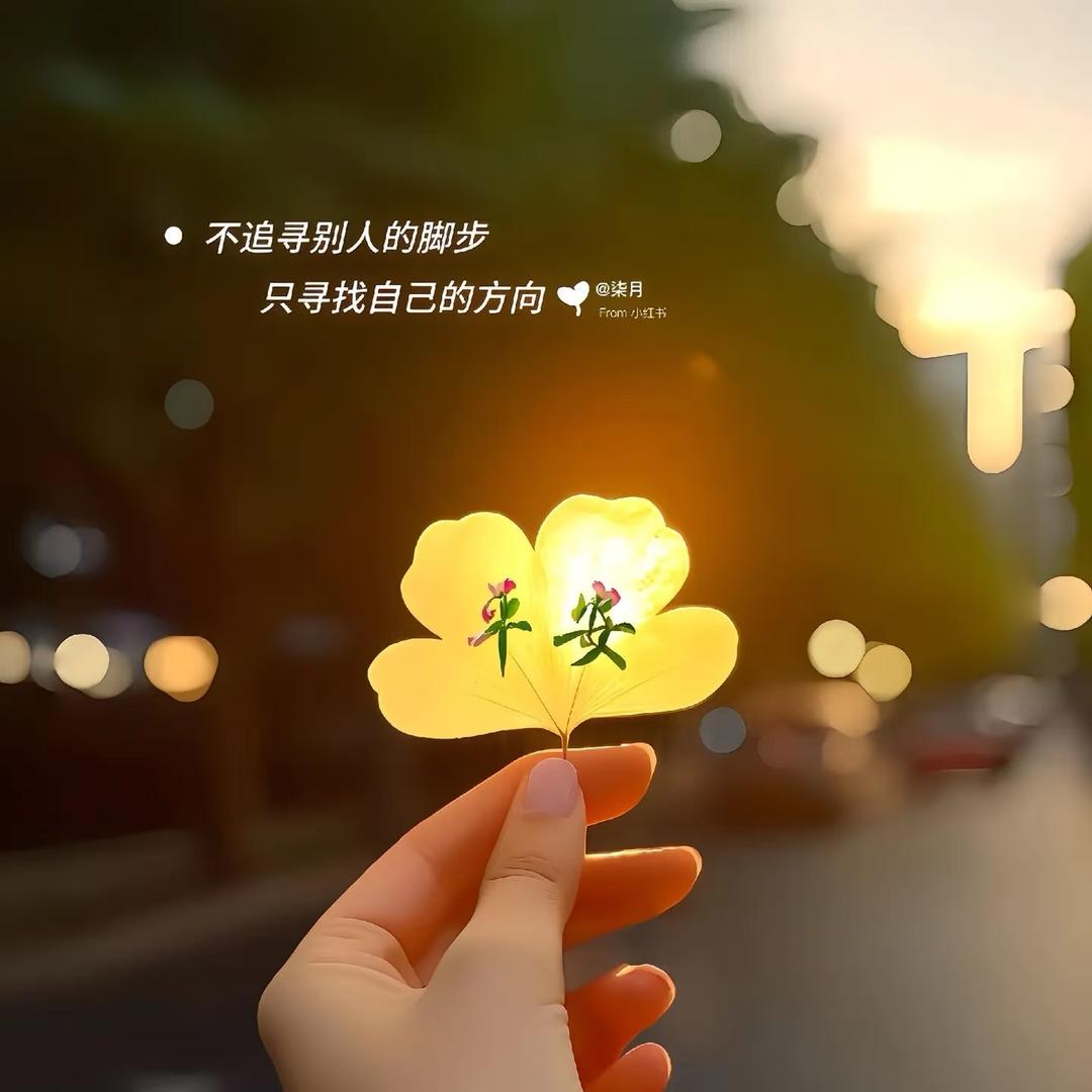 刘妹儿
