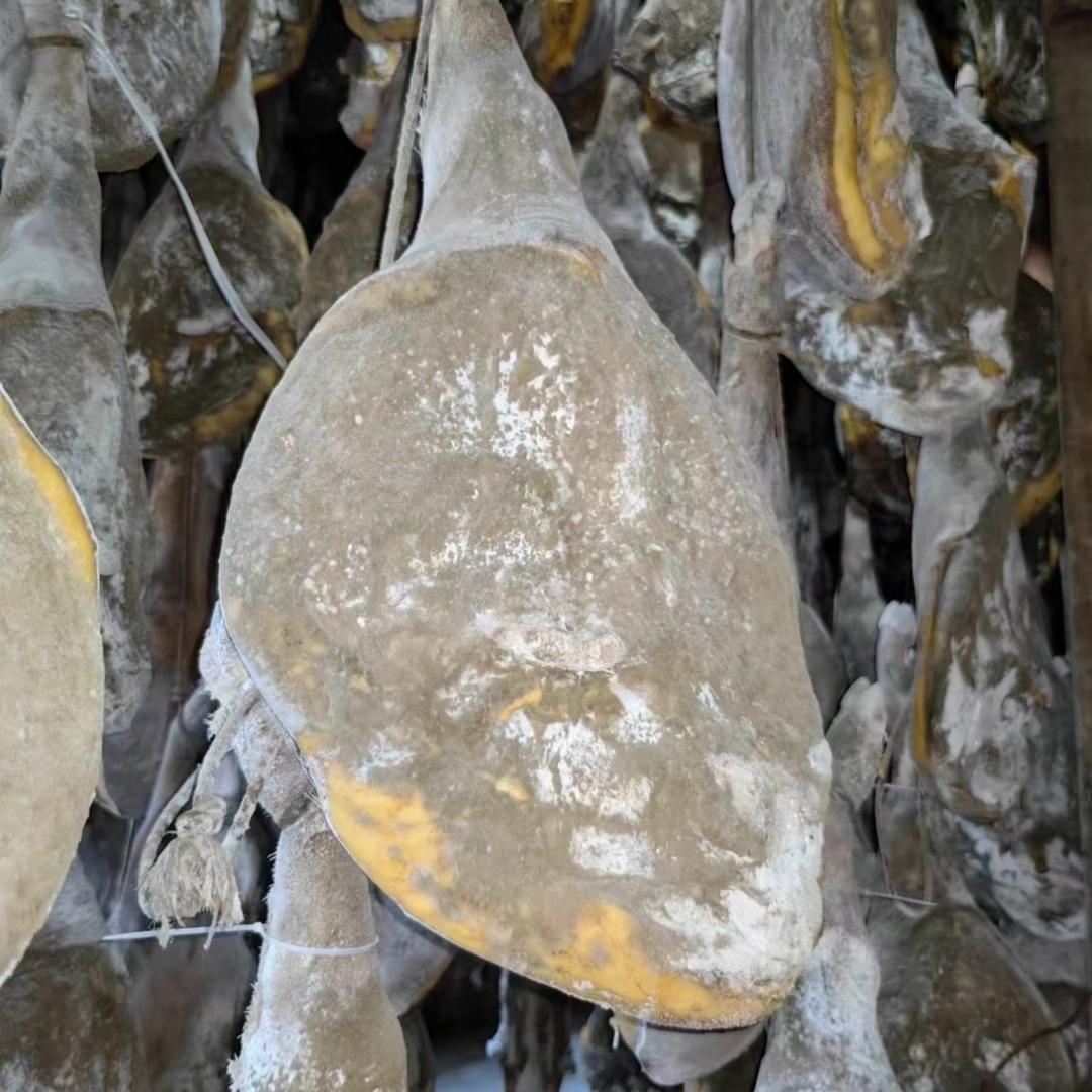 老火腿娇孃孃（一）