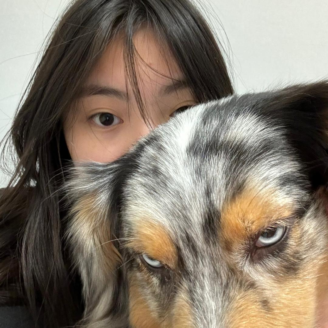 小舟的🐢