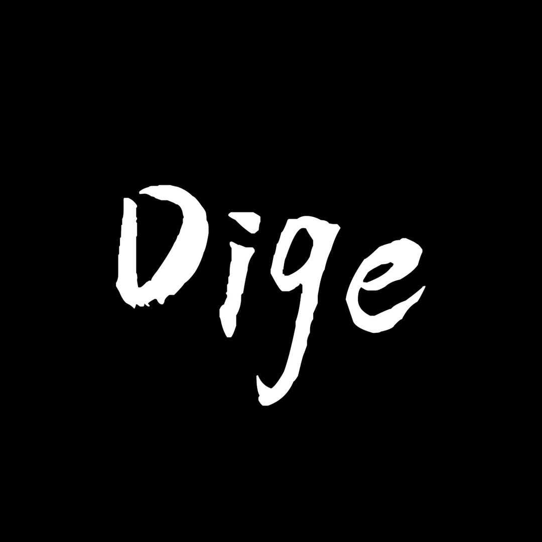 Dige数码