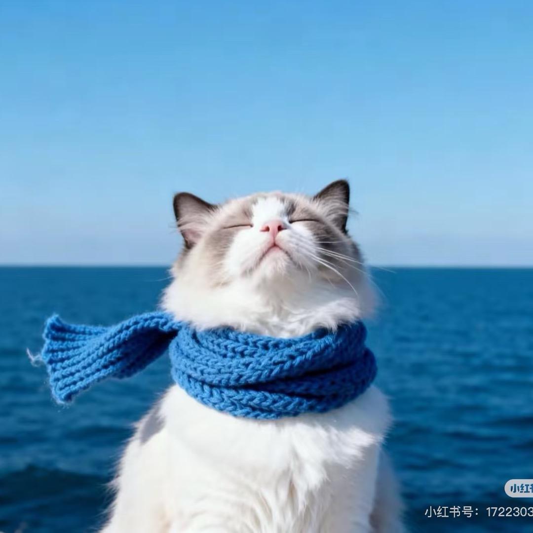 看起来很好吃🍓