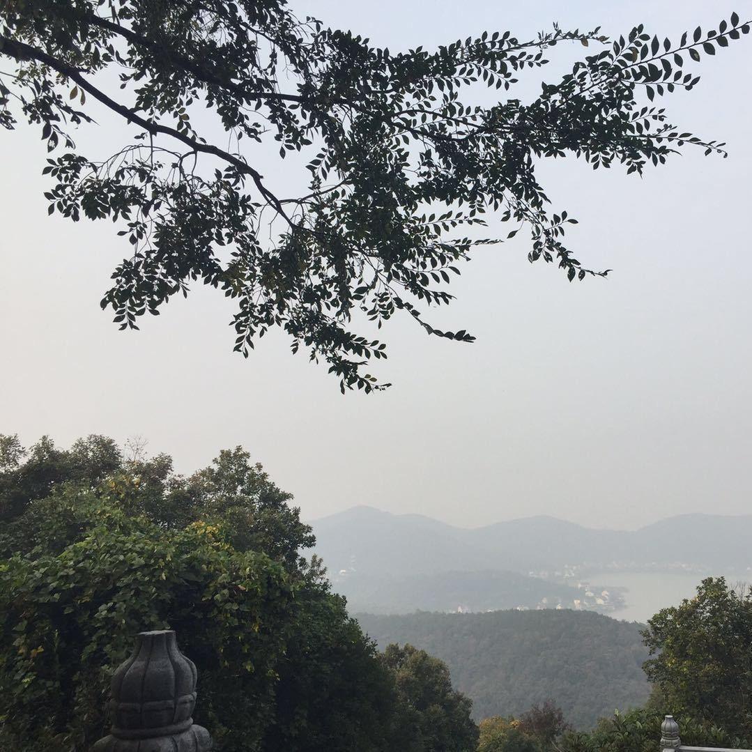 牛鸽派蛋挞