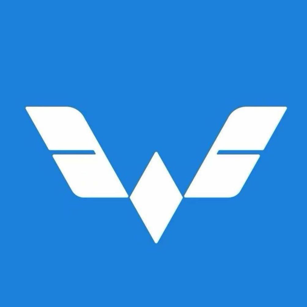 五菱汽车——新能源