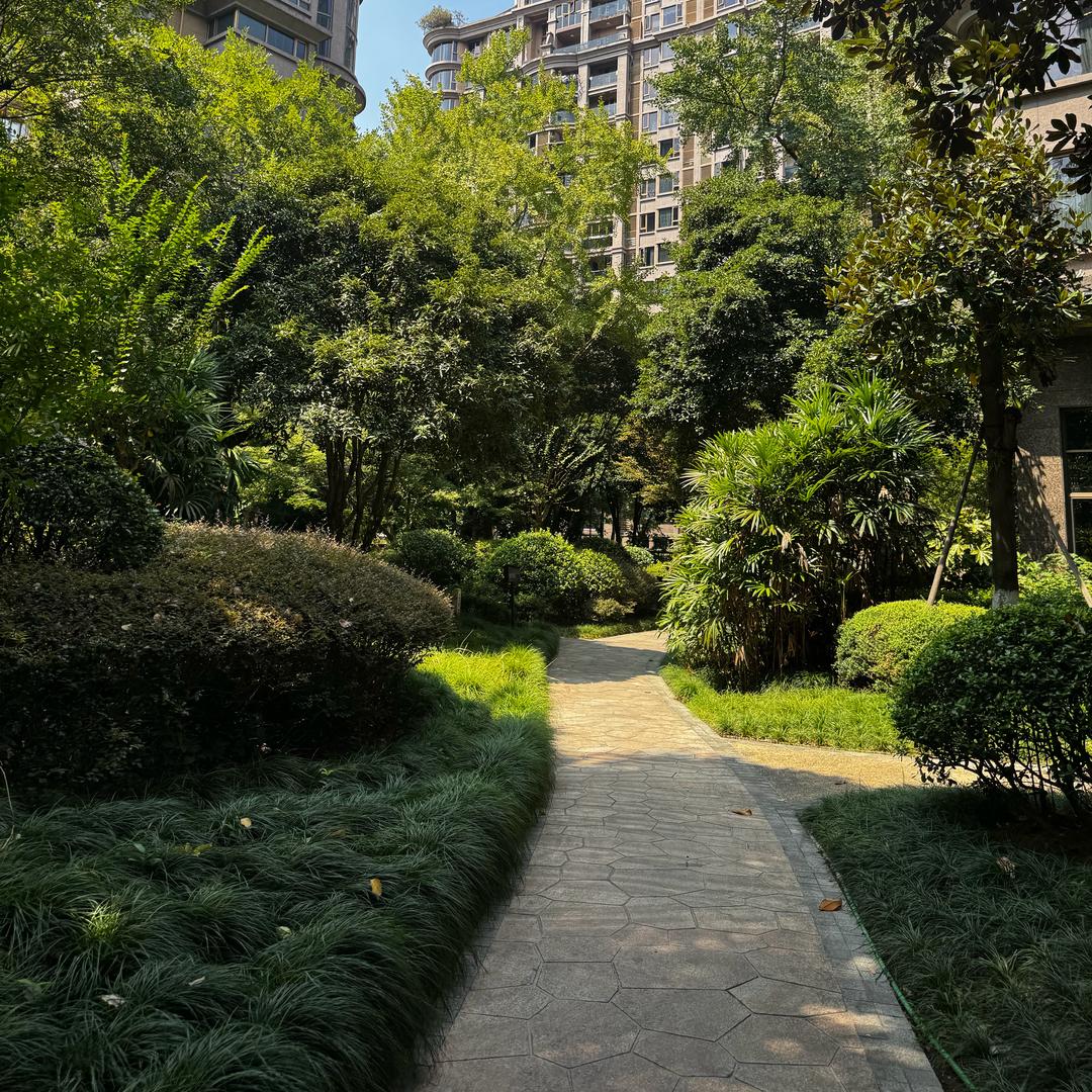 你美式吧！（墨云）