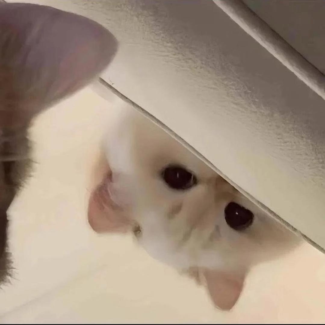 也甜