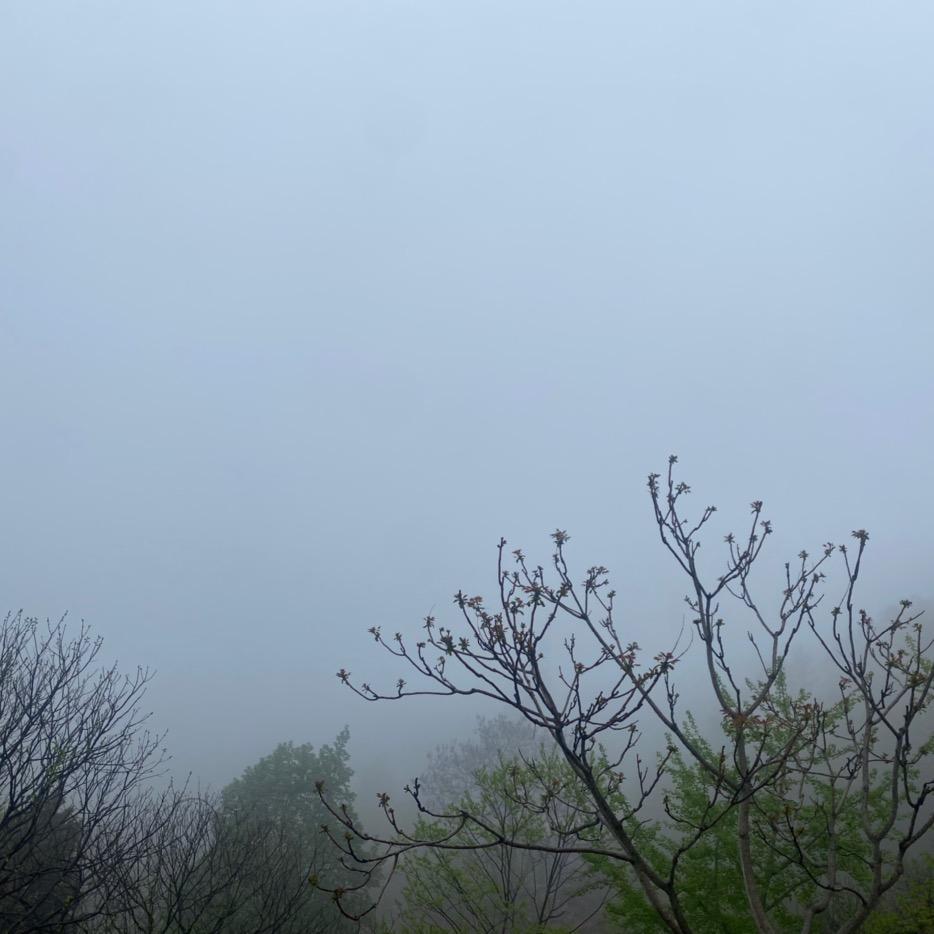 上海雨纳智能科技