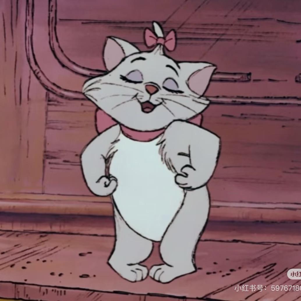 🐈徐州盾山猫猫