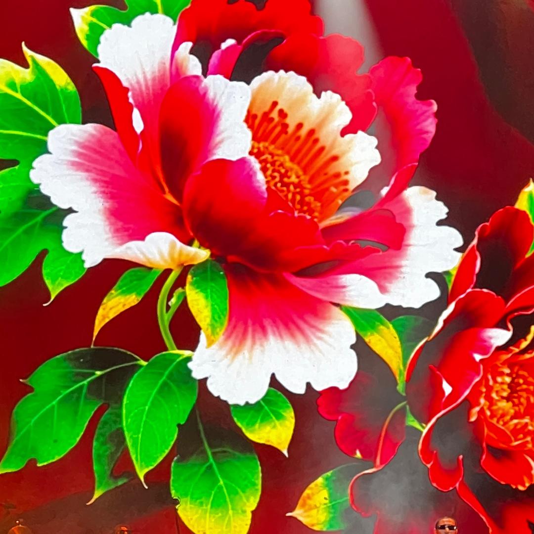 花开富贵。🌷