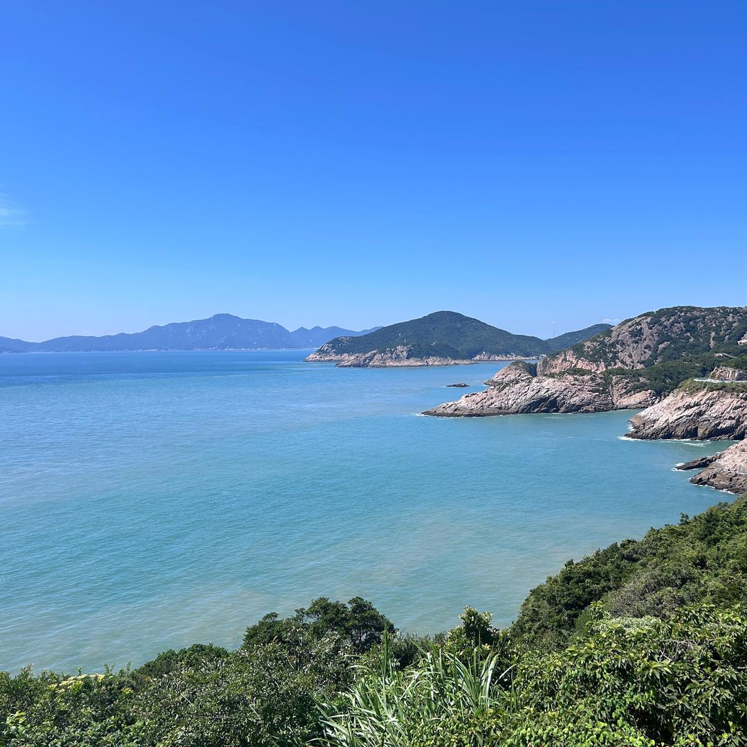 爱吃薯条的大王
