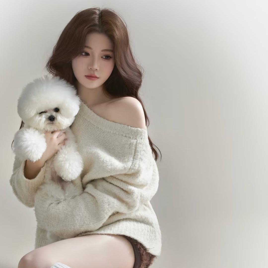 丸子是个灰泰迪