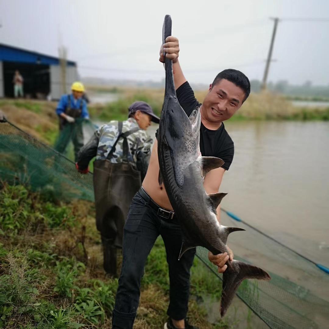 小桂特种鱼养殖场
