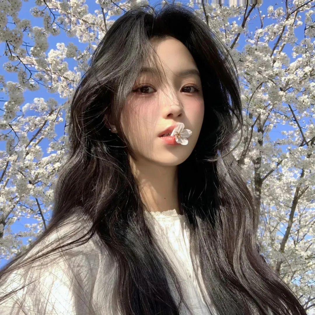 燕子优选