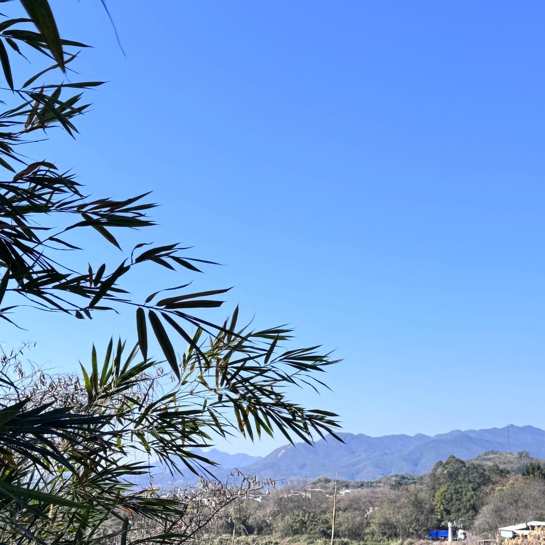 黄金探房