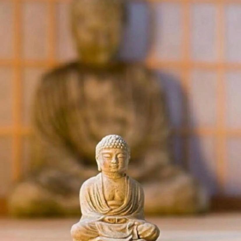 弥
