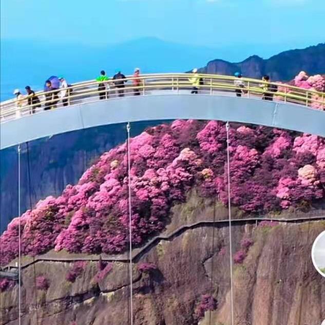 小草衣人