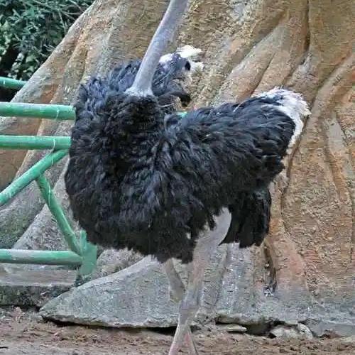 久昇养殖工厂店