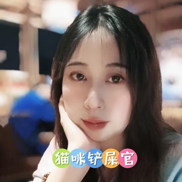 石鑫 专业繁育孟加拉豹猫