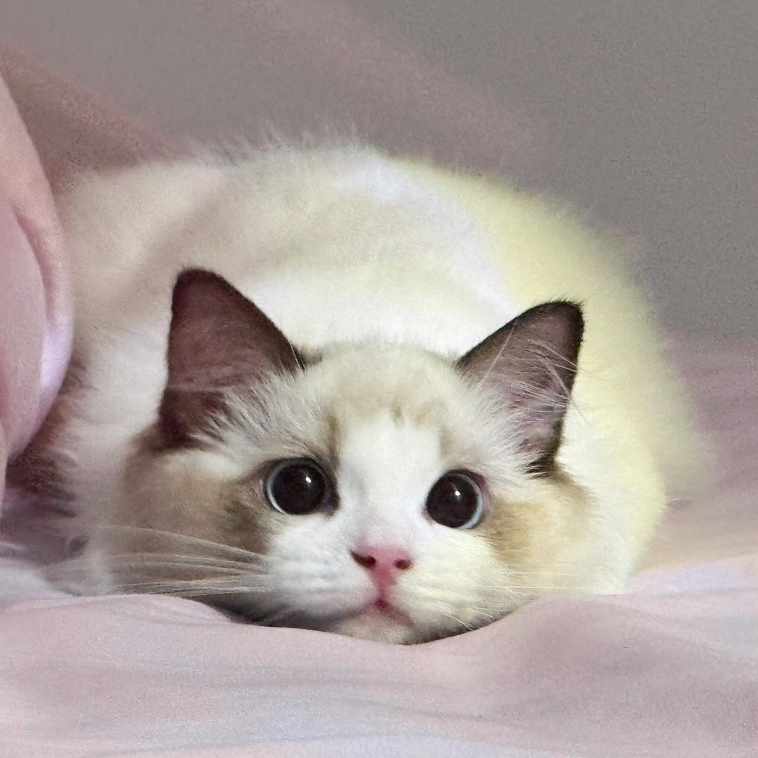 33333