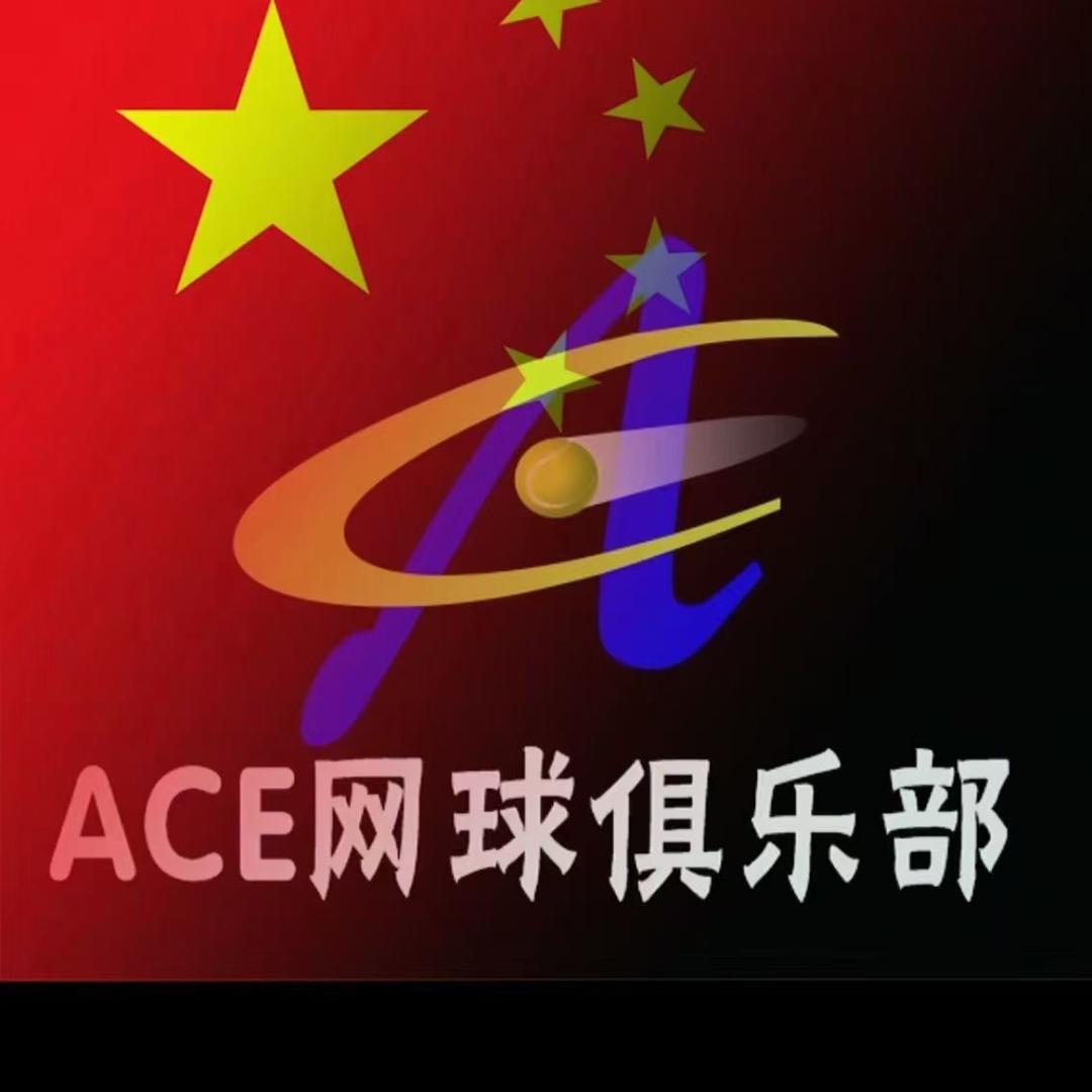 孝感市高新技术开发区艾斯网球