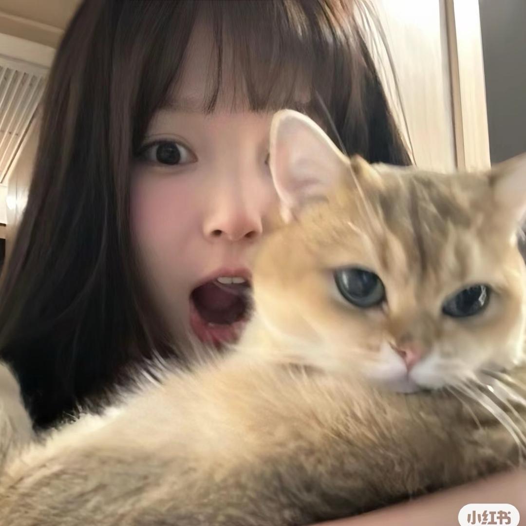 甜甜圈🍩