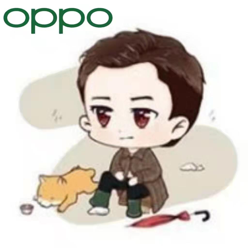 杨楼镇OPPO授权体验店