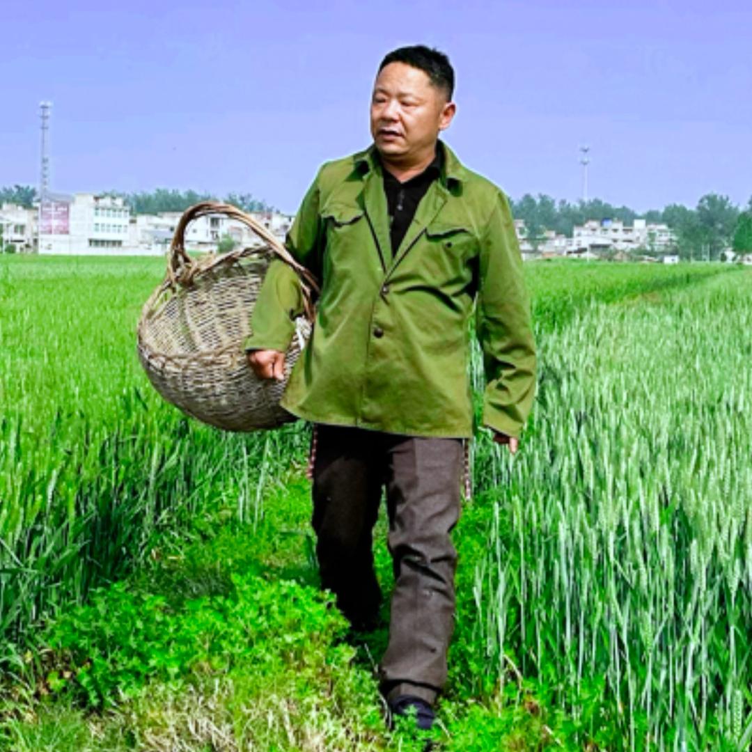 农村人全福