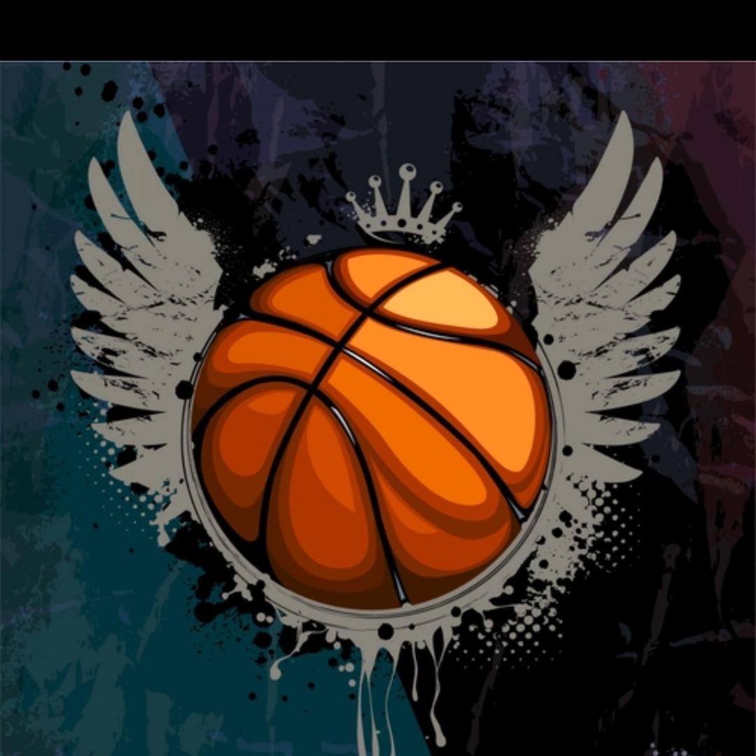 珞禾体育🏀