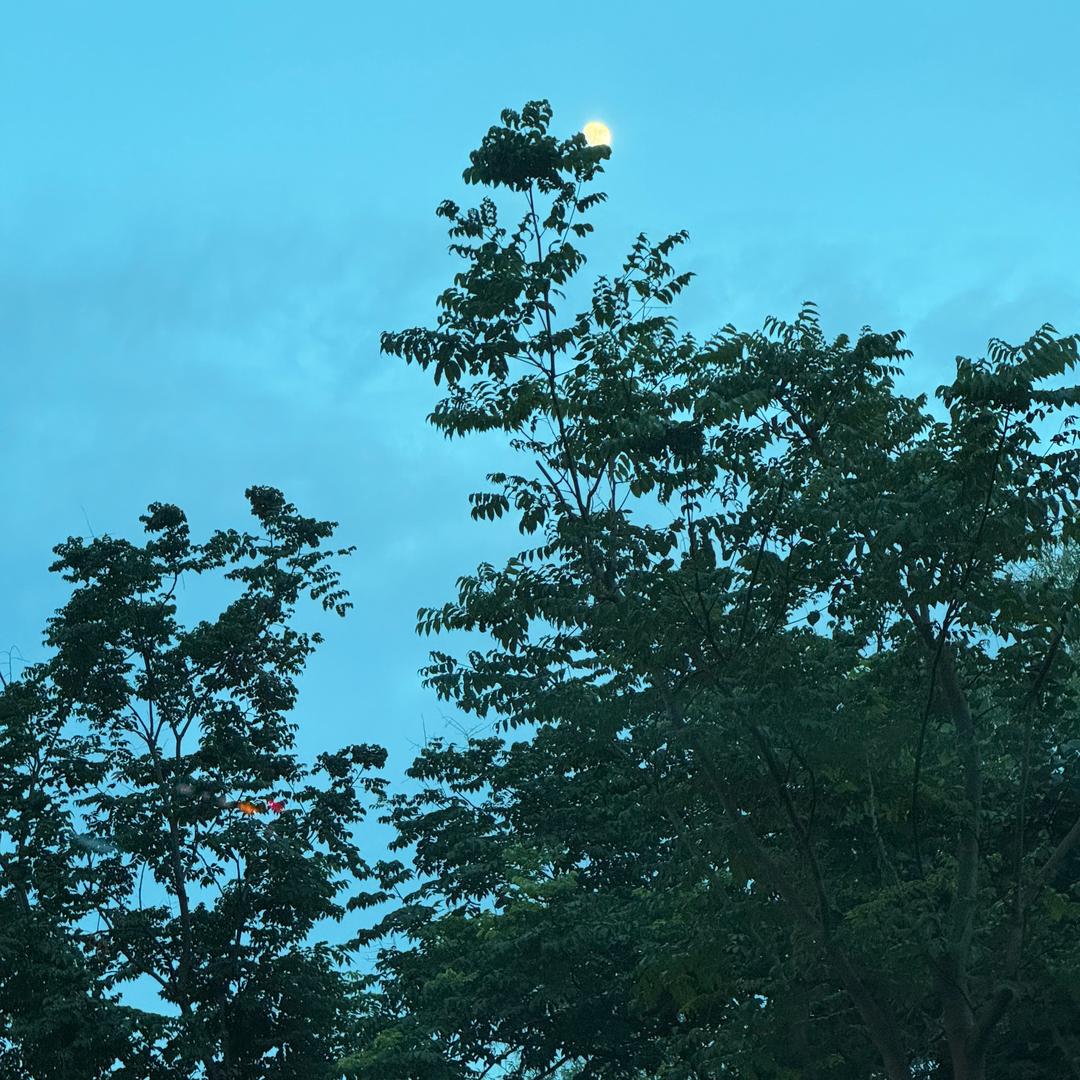 小于—ylt