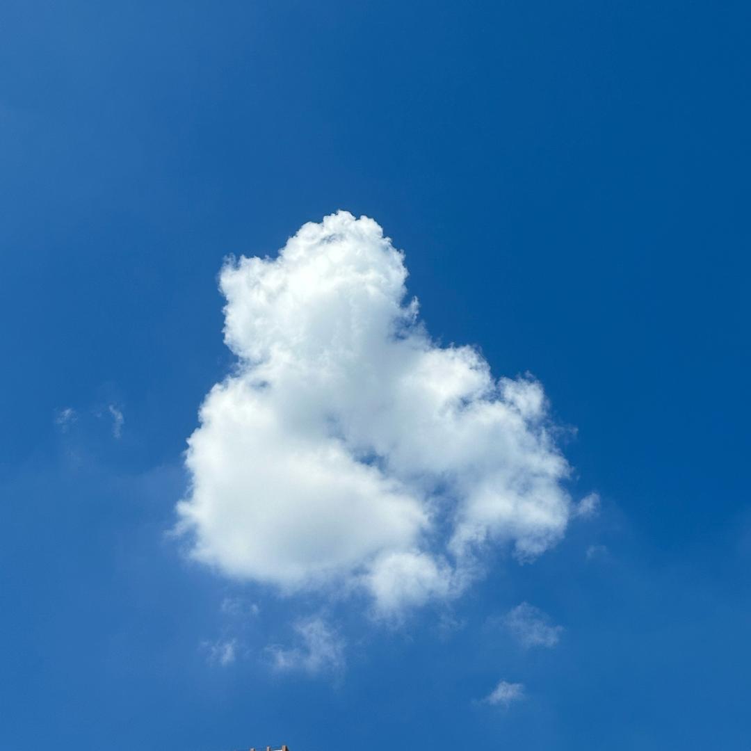 小晃，☀️
